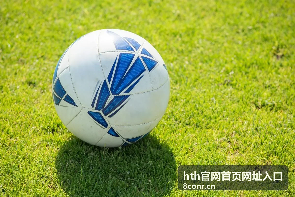 保存 hth官网首页网址入口 可用入口