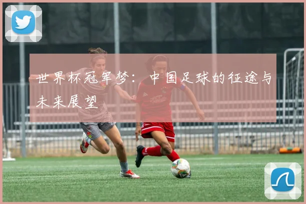 世界杯冠军梦:中国足球的征途与未来展望