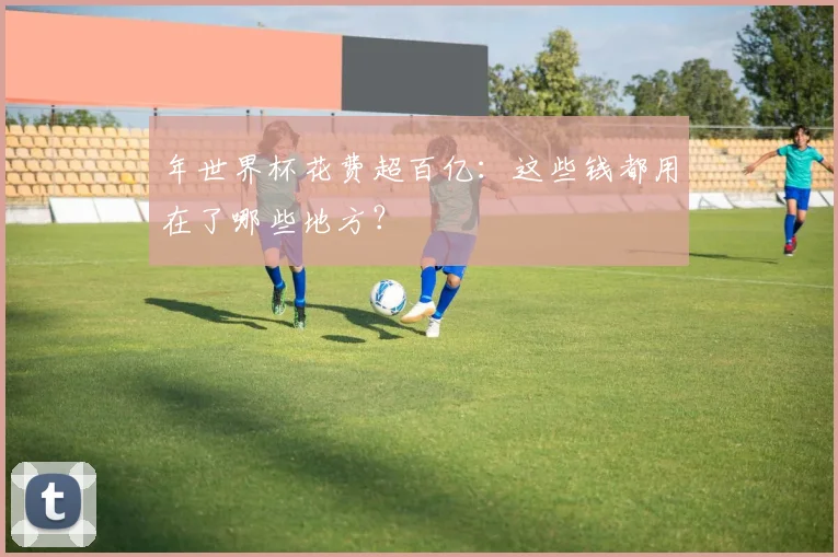 年世界杯花费超百亿：这些钱都用在了哪些地方？