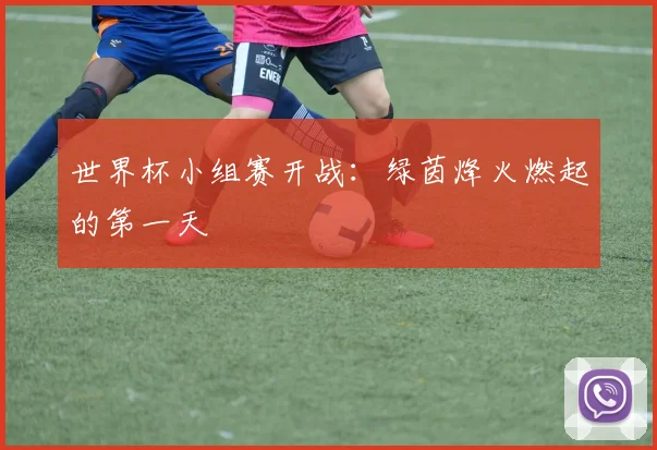 世界杯小组赛开战：绿茵烽火燃起的第一天