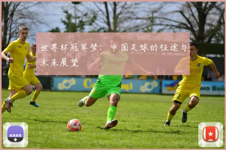 世界杯冠军梦:中国足球的征途与未来展望
