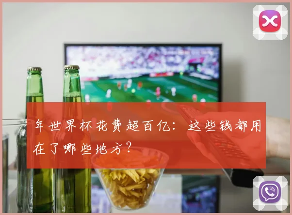 年世界杯花费超百亿：这些钱都用在了哪些地方？