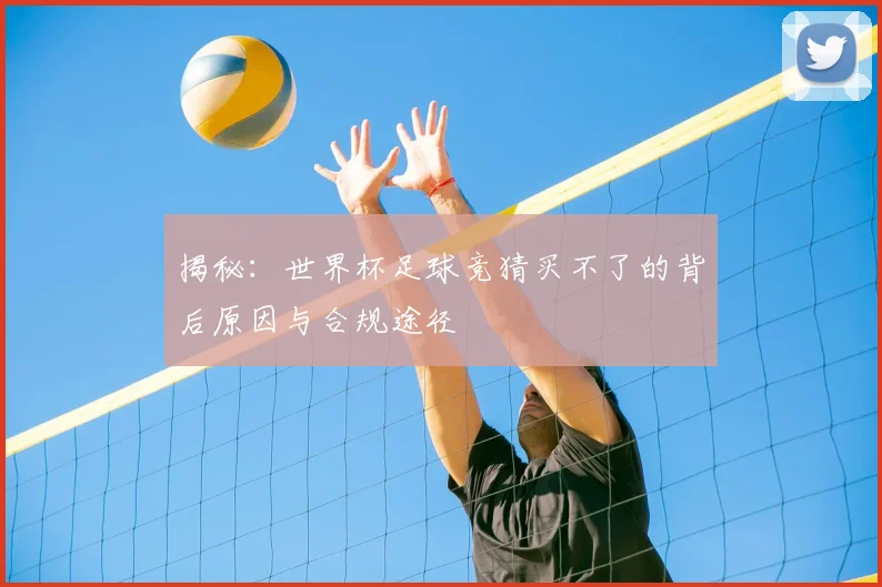 揭秘：世界杯足球竞猜买不了的背后原因与合规途径