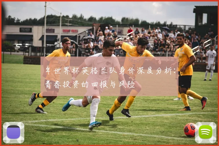 年世界杯英格兰队身价深度分析：青春投资的回报与风险